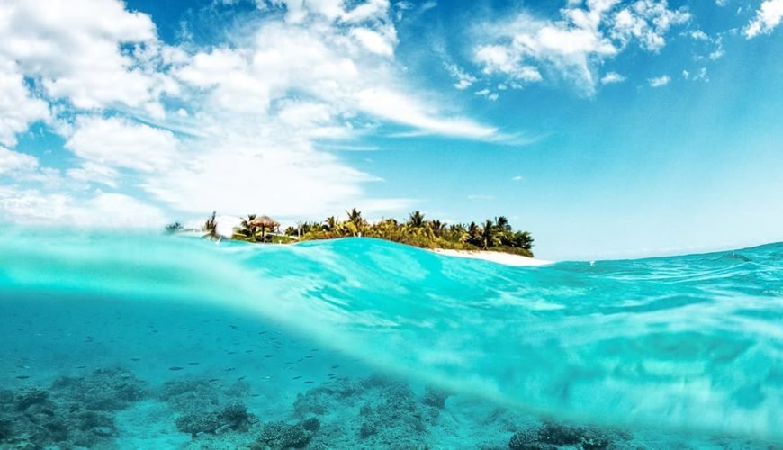 Your Ticket to Paradise!