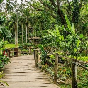 Best Nadi Tour for 2026