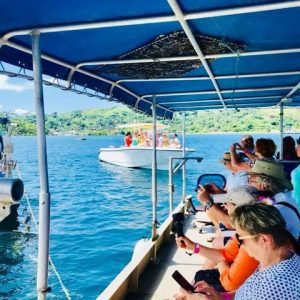 The Best Savusavu Tour & Excursions for 2026