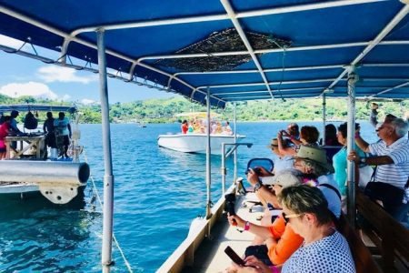 The Best Savusavu Tour & Excursions for 2024