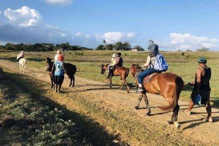 Horse Riding Tour