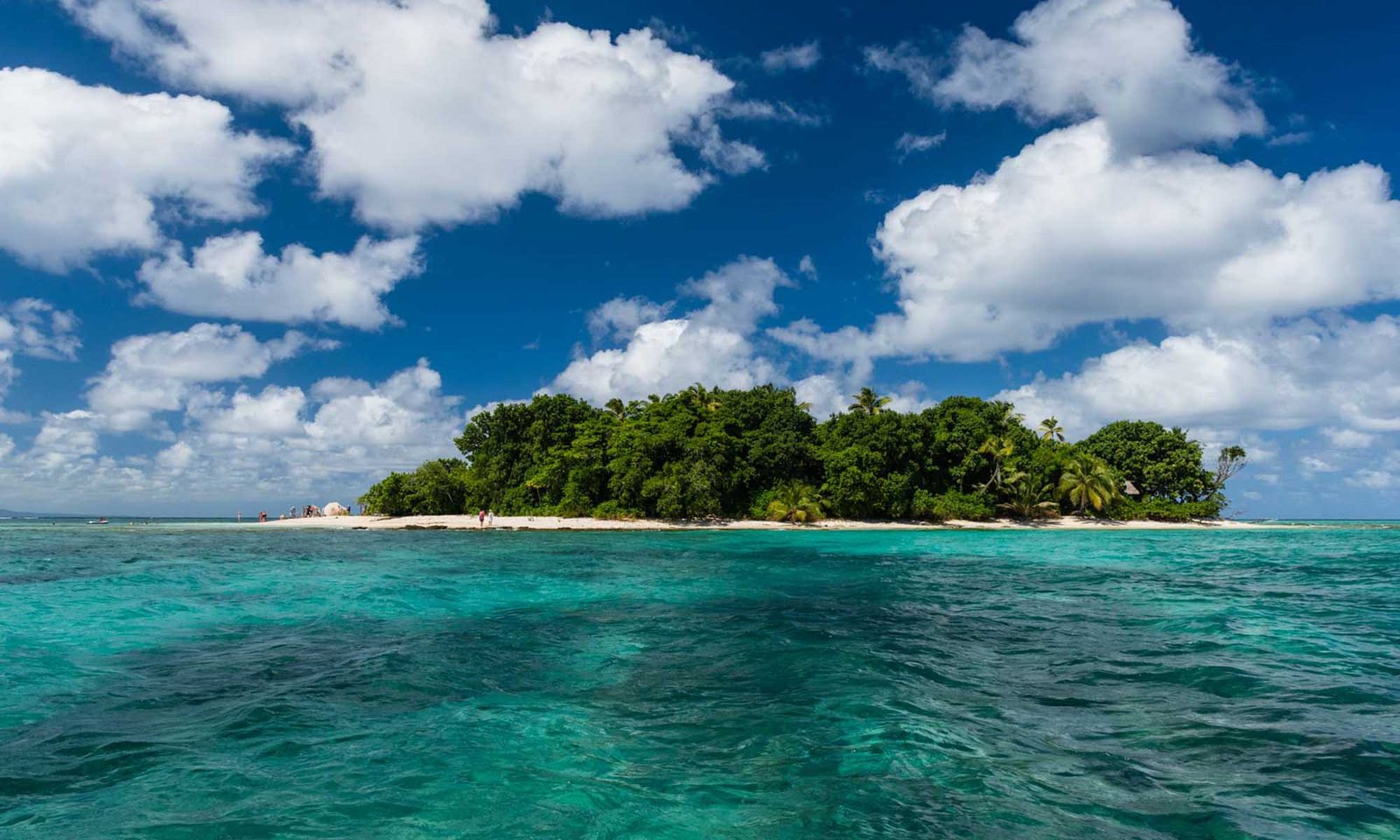 Fiji Adventures Begin Here