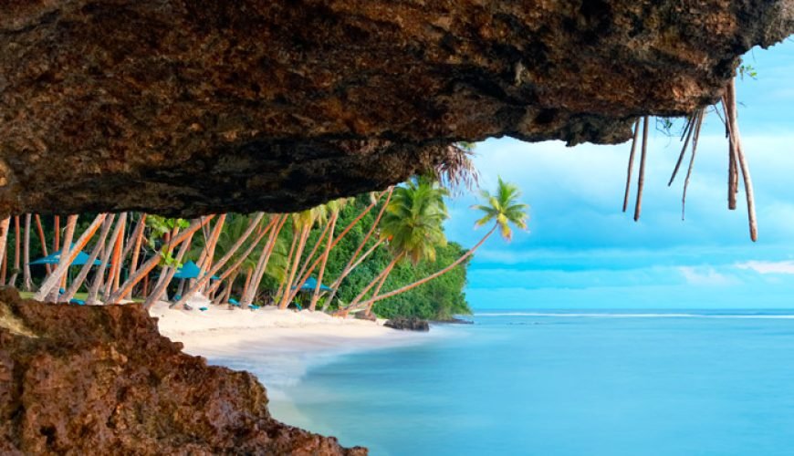 Your Ticket to Paradise!