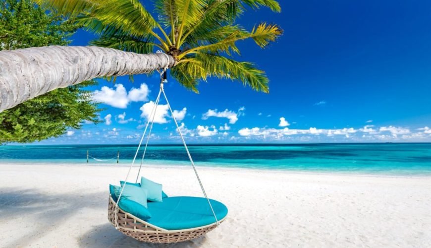 Your Ticket to Paradise!