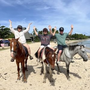 Natadola Beach Horse Riding Tour - AU$65