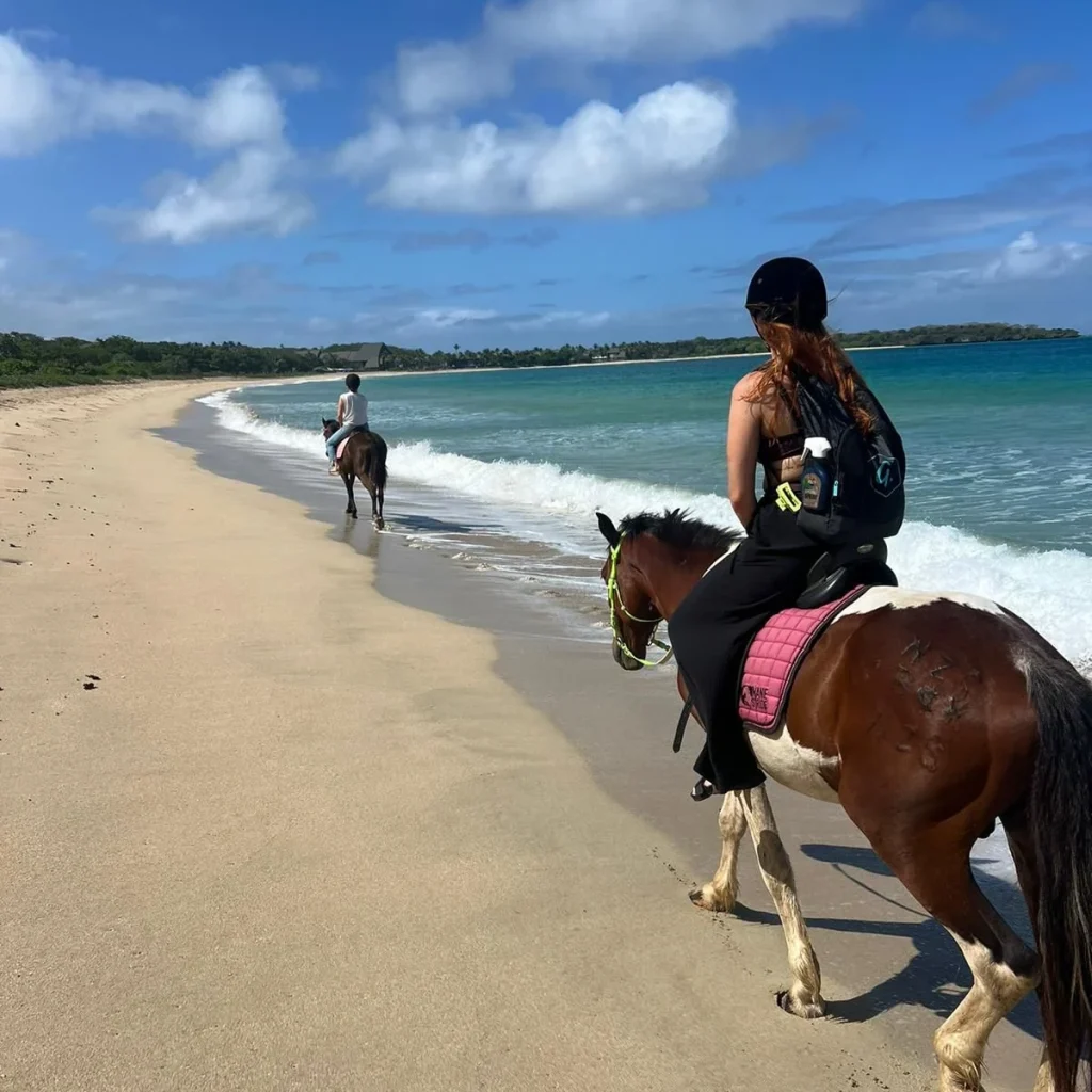 Why Natadola Beach is a Must-Visit Destination in Fiji