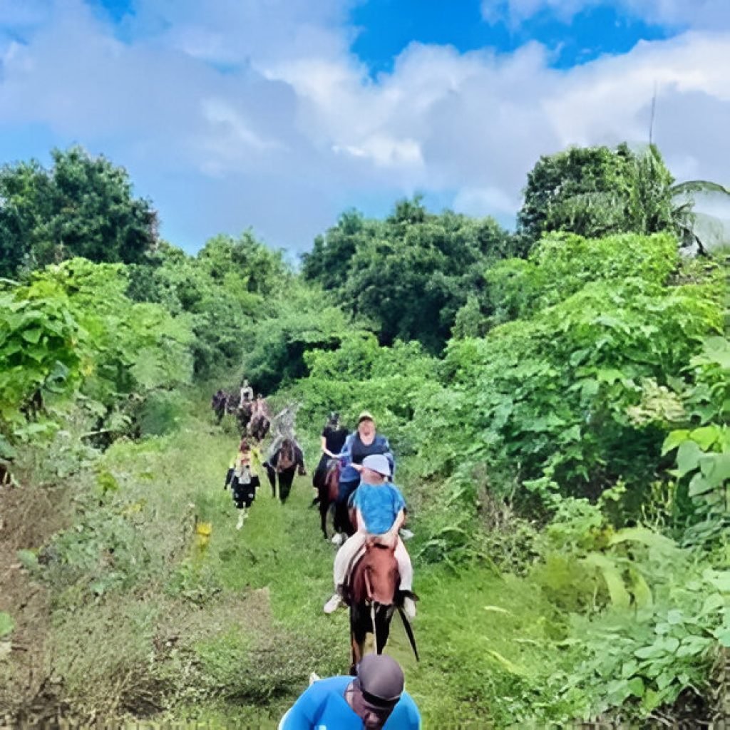 Explore Nausori Highlands: An Unforgettable Off-Road ATV Adventure in Fiji