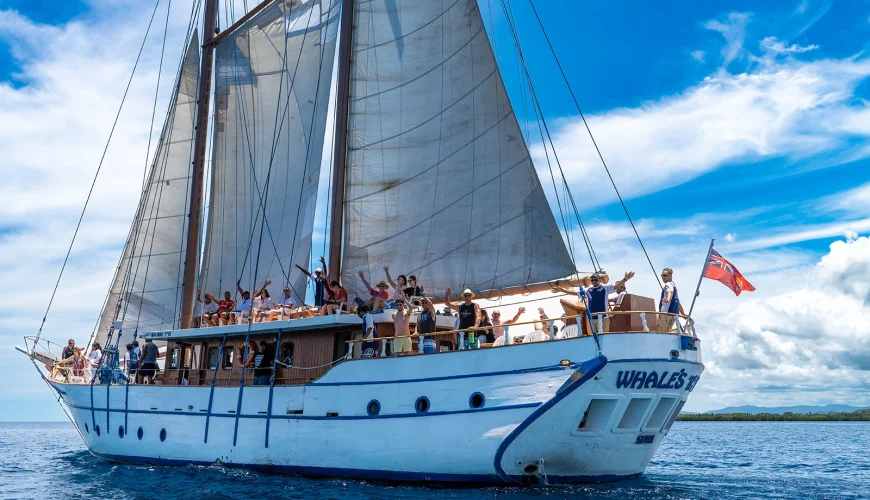 Whale's Tale Day Cruise